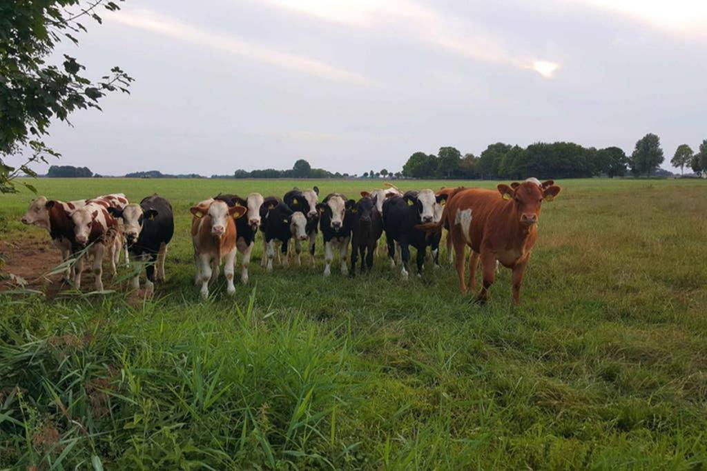 Klein-Tjuecher-Grashaus 4 Upgant-Schott Buitenkant foto